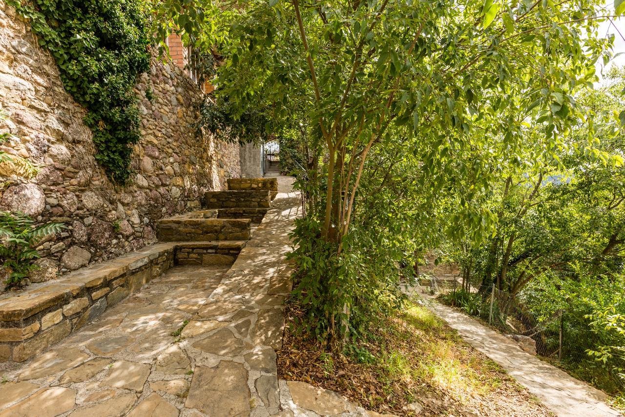 Alberg La Solana Salas de Pallas Bagian luar foto
